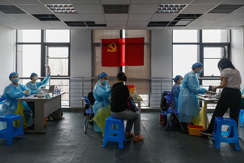 視頻 長寧區(qū)設(shè)置 專場 專窗 機制,精準(zhǔn)服務(wù)送 苗 上門