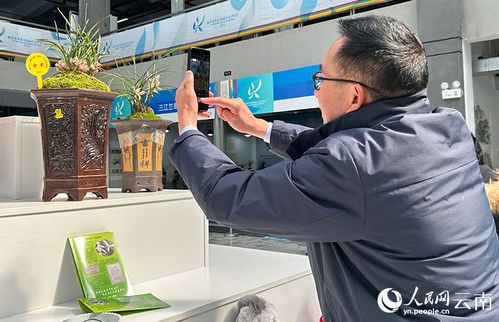 第31屆中國 維西 蘭花博覽會(huì)開幕