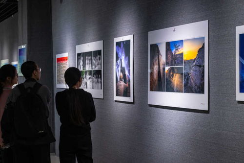 180件精品力作亮相 第12屆寧夏攝影藝術(shù)展覽盛大開幕
