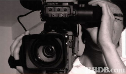 我們的服務(wù)包括 企業(yè)廣告 宣傳片 舞臺(tái)拍攝紀(jì)錄 dvd 制作 后期制作 音樂制作等服務(wù)