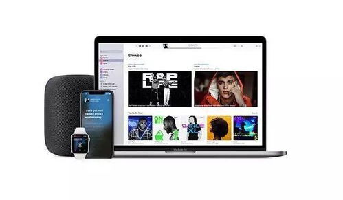 過度競爭下的新定位生存策略