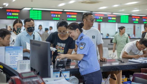 縣文聯 攝影采風走進縣政務服務大廳