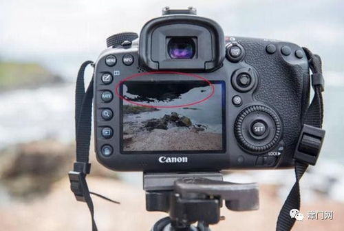 最容易忽略的三個方法,更好的服務你的攝影 第二百一十八講