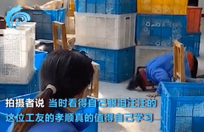 工廠女工對(duì)著手機(jī)不斷磕頭,畫面另一側(cè)是80歲父親,拍攝者 看得眼淚汪汪