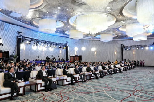 一批重磅項目簽約,設立50億元規模基金 金色中環發展帶 吸引世界目光