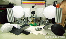 take studio 提供租場服務(wù) , 給攝影人仕租用 場地布置及出租 表演藝術(shù) 88db