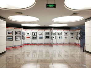 光影翰墨頌華章：河南郵政喜迎國慶暨改革開放40年、獨立運營20年文化藝術展